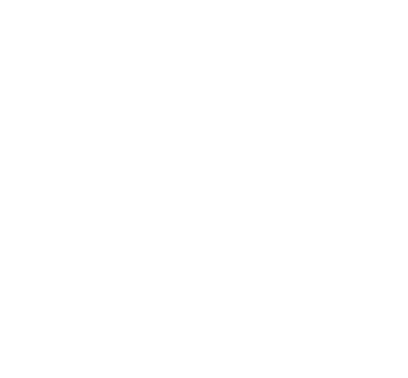 Danger Incorporated
